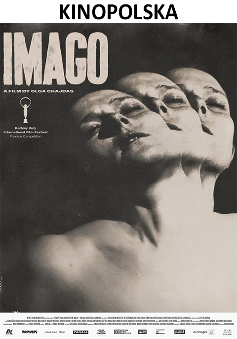 Imago